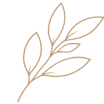 HeaXX Leaf