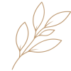 HeaXX Leaf